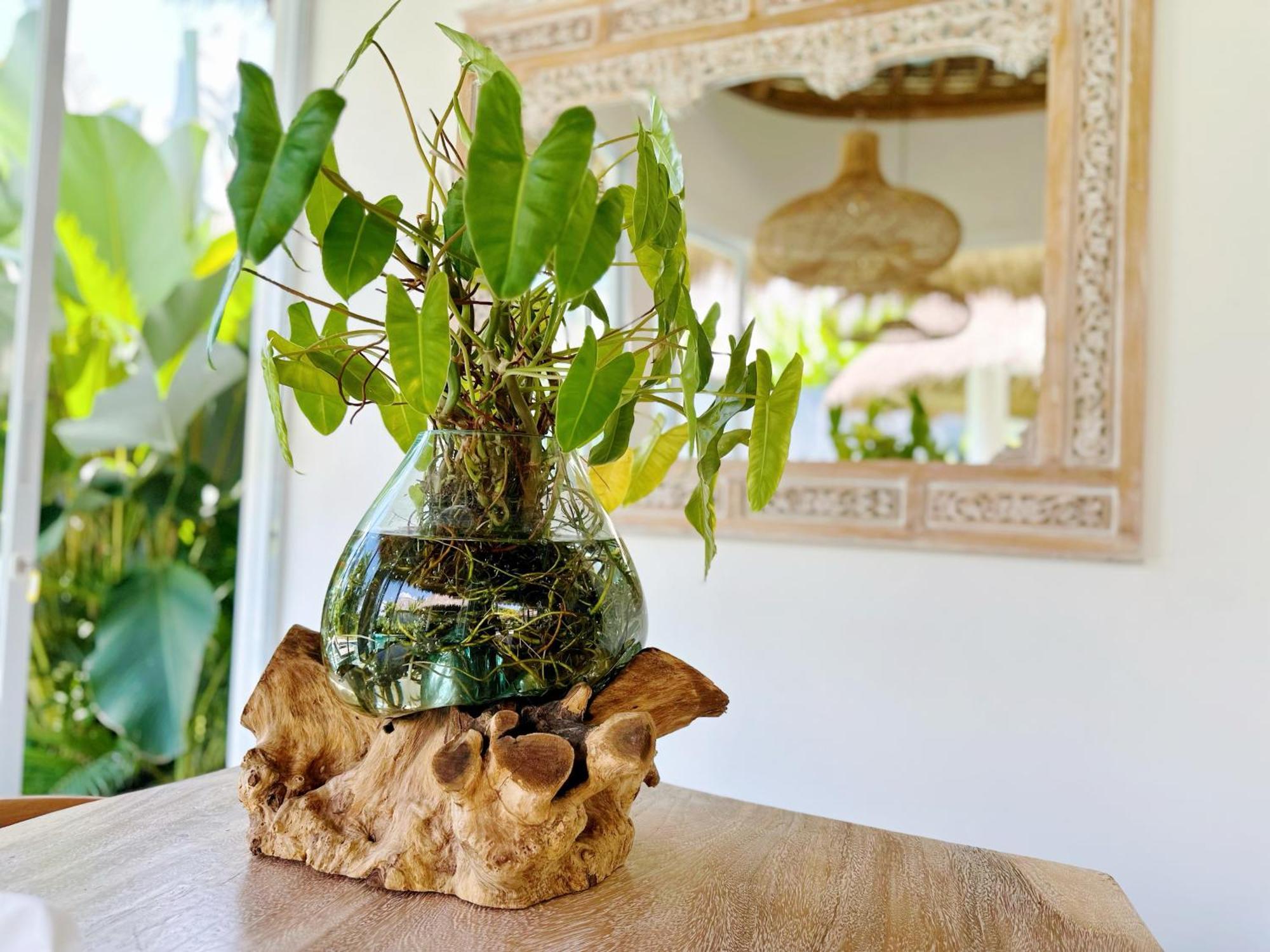 2bed Luxury Private - 10min To Center, Yoga Shala, Crossfit-style Gym *